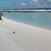 French Polynesia, Niau Atoll, beach