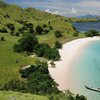 Indonesia, Komodo island, Pink beach