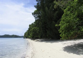 Palau, Euidelchol island, beach