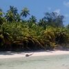 Seychelles, Alphonse island, beach