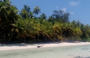 Seychelles, Alphonse island, beach