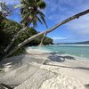 Seychelles, Felicite island, hammock