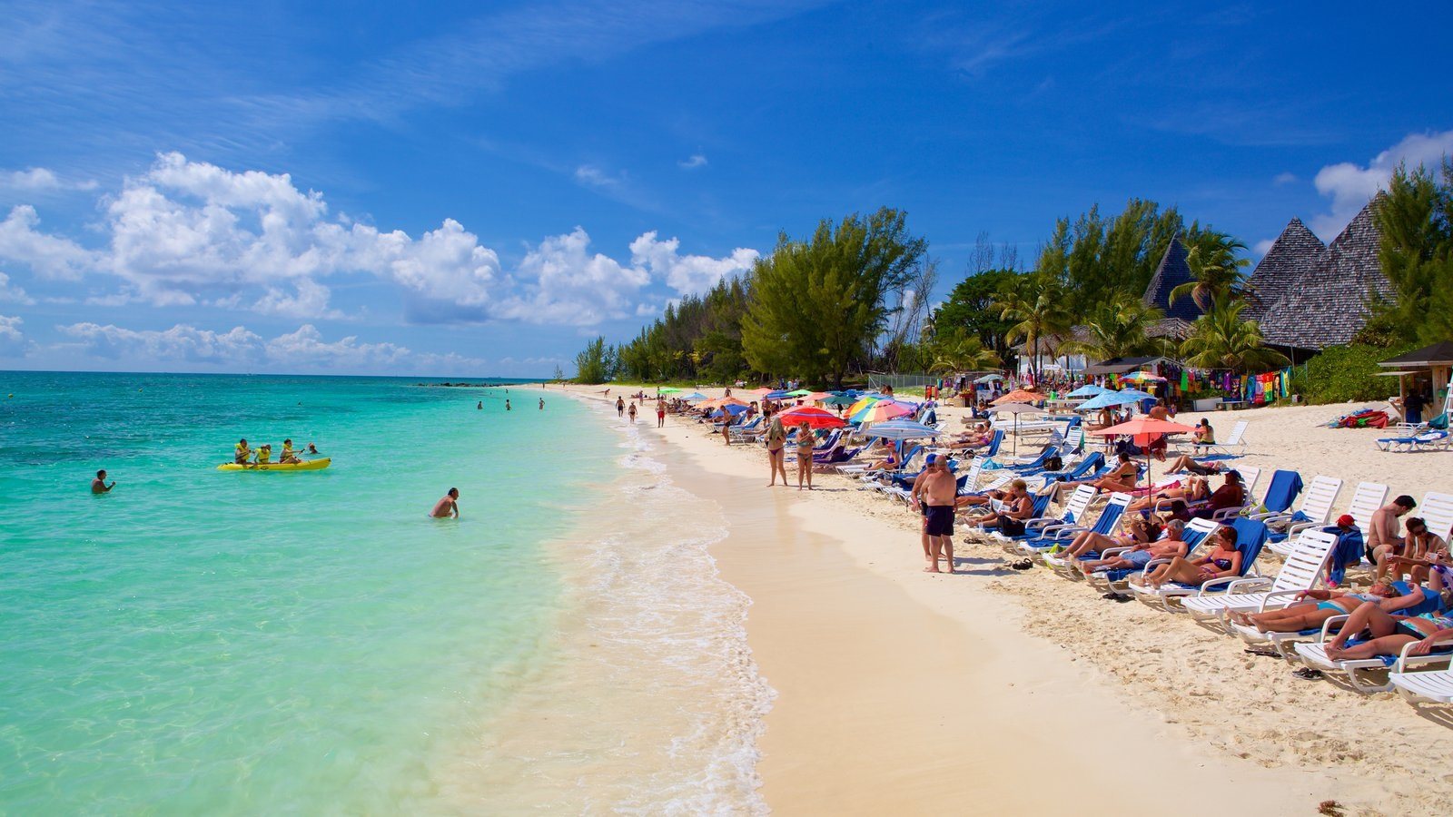 Grand Bahama island, Bahamas Ultimate guide (March 2024)