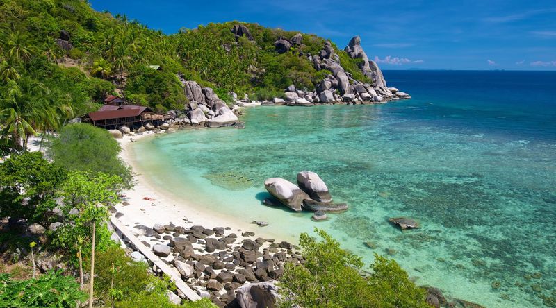 Koh Tao Island Thailand Ultimate Guide May 2024 